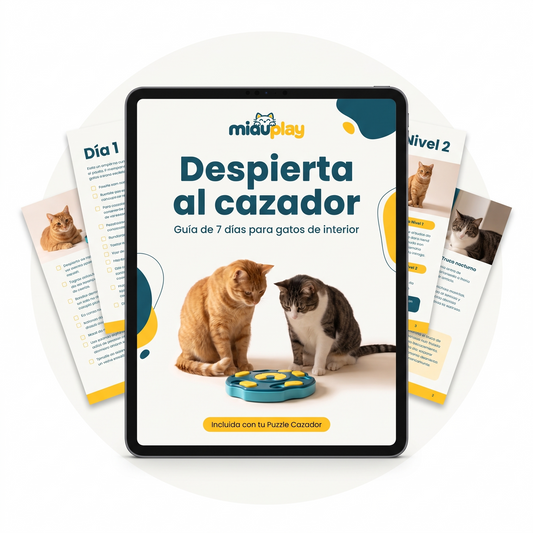 Despierta al cazador en 7 Días