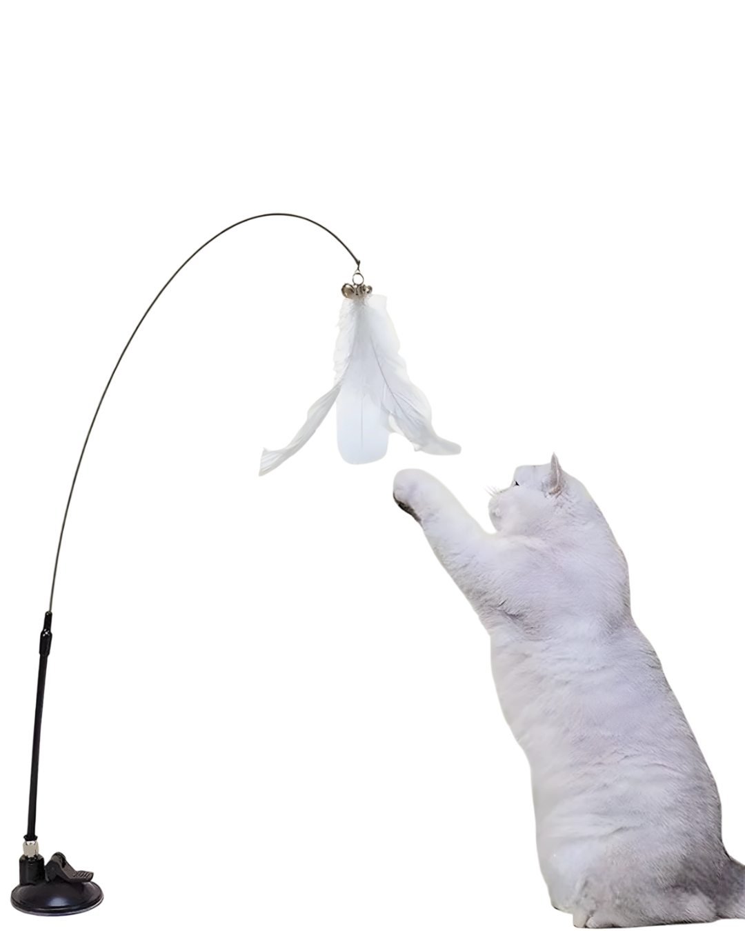 Feather & Bell Cat Toy-Interactive Wand with Suction cup